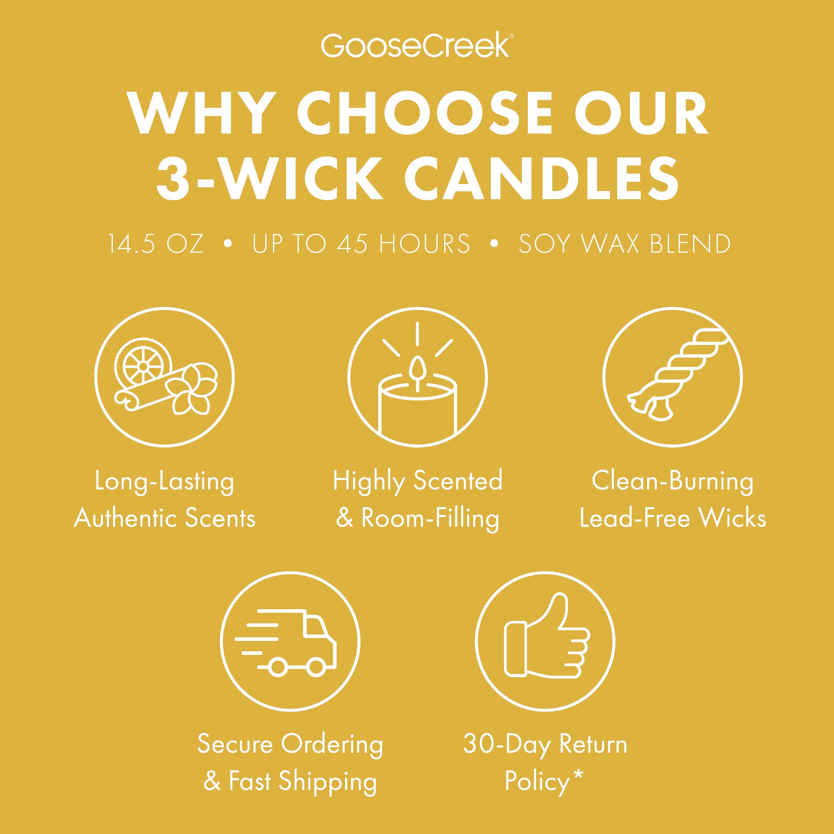 Catdog Nickelodeon 3-Wick Candle