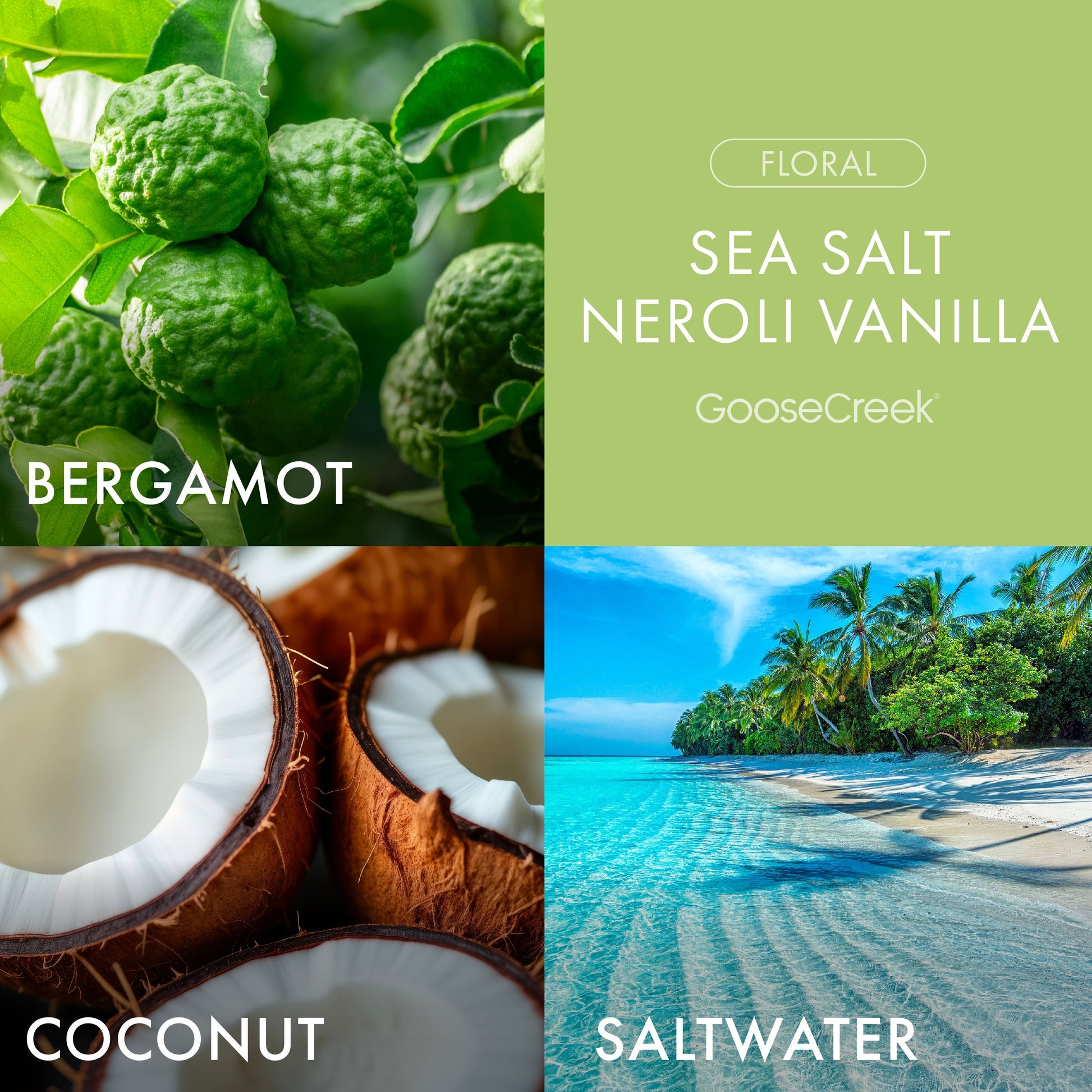 Sea Salt Neroli & Vanilla 3-Wick Candle
